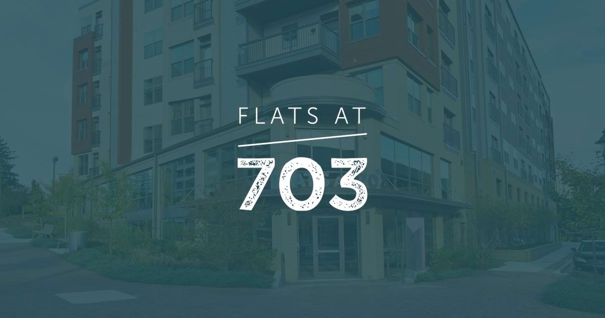 1 Bedroom Apartment – 703 Washington Avenue #511, Towson, MD